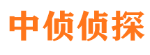 南陵找人公司